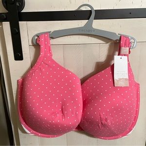 NWT 40H boost plunge Cacique